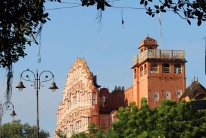 Jaipur: Passeio turístico de 1 dia e Hawa Mahal, excursão ao Palácio da Cidade