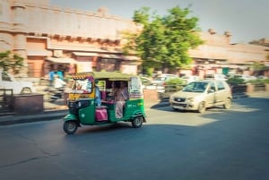 Privado: Passeio turístico de dia inteiro pela cidade de Jaipur em Tuk-Tuk
