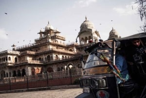 Jaipur: Tour panoramico di un giorno intero in Tuk Tuk e guida