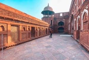 Privates 4-Tage-Tourpaket zum Goldenen Dreieck: Delhi-Agra-Jaipur