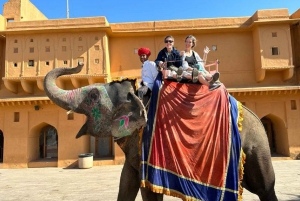 Private Jaipur Day Trip by Superfast Train With Lunch