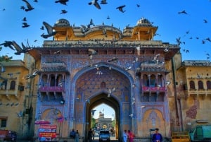 Jaipur: Tour particular à noite com o pôr do sol no Templo dos Macacos