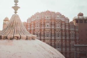 Jaipur: Prywatna wieczorna wycieczka z zachodem słońca w świątyni małp