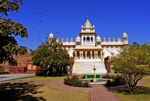 Private Jodhpur City Sightseeing Tour With Camel Safari