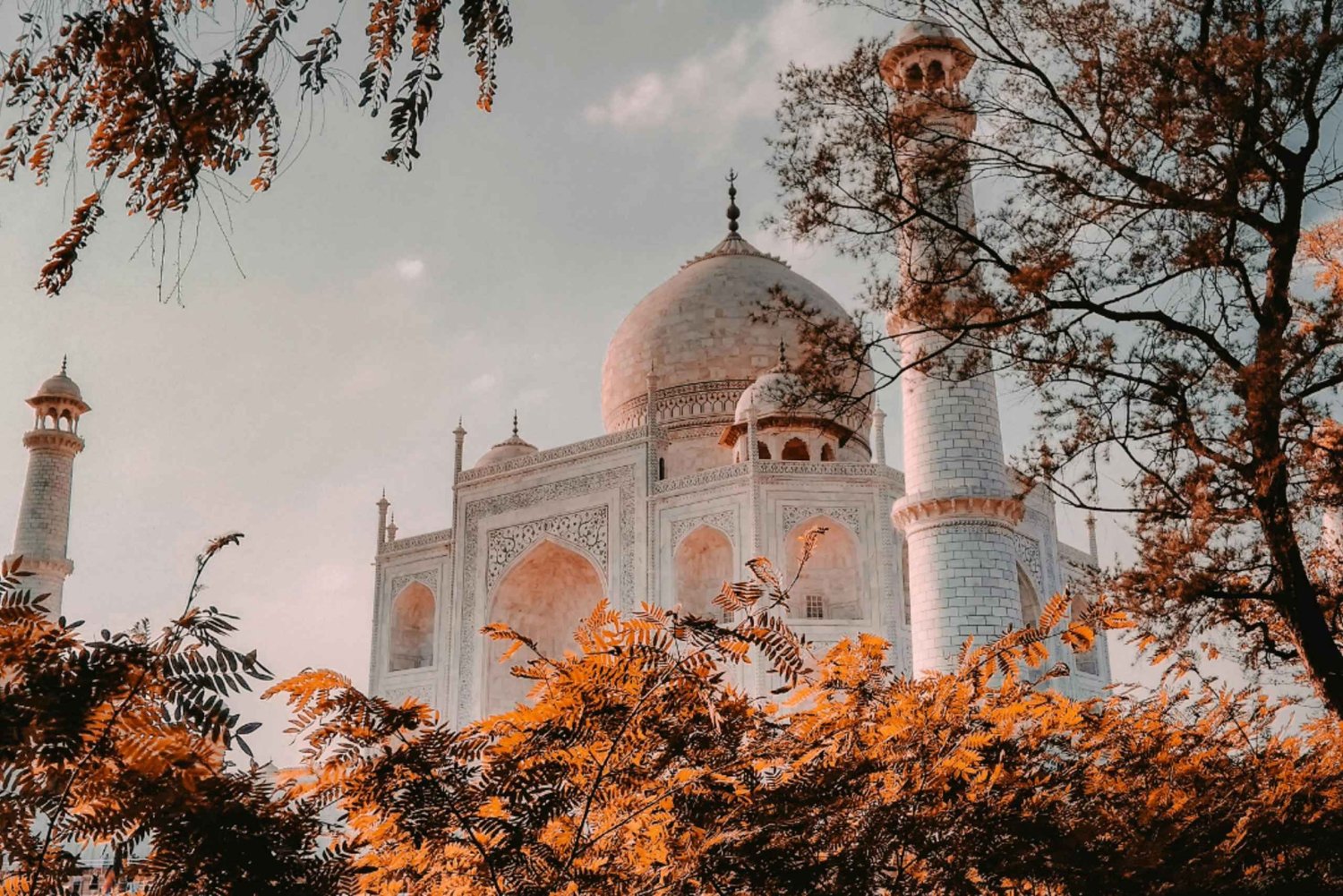 Gita privata di 1 giorno al Taj Mahal e ad Agra con biglietto d'ingresso