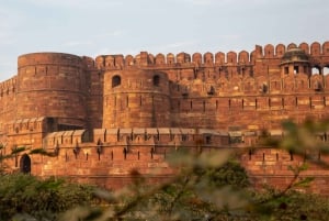 Gita privata di 1 giorno al Taj Mahal e ad Agra con biglietto d'ingresso