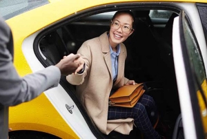 Частное такси: Джайсалмер, Джодхпур, Удайпур, Агра.