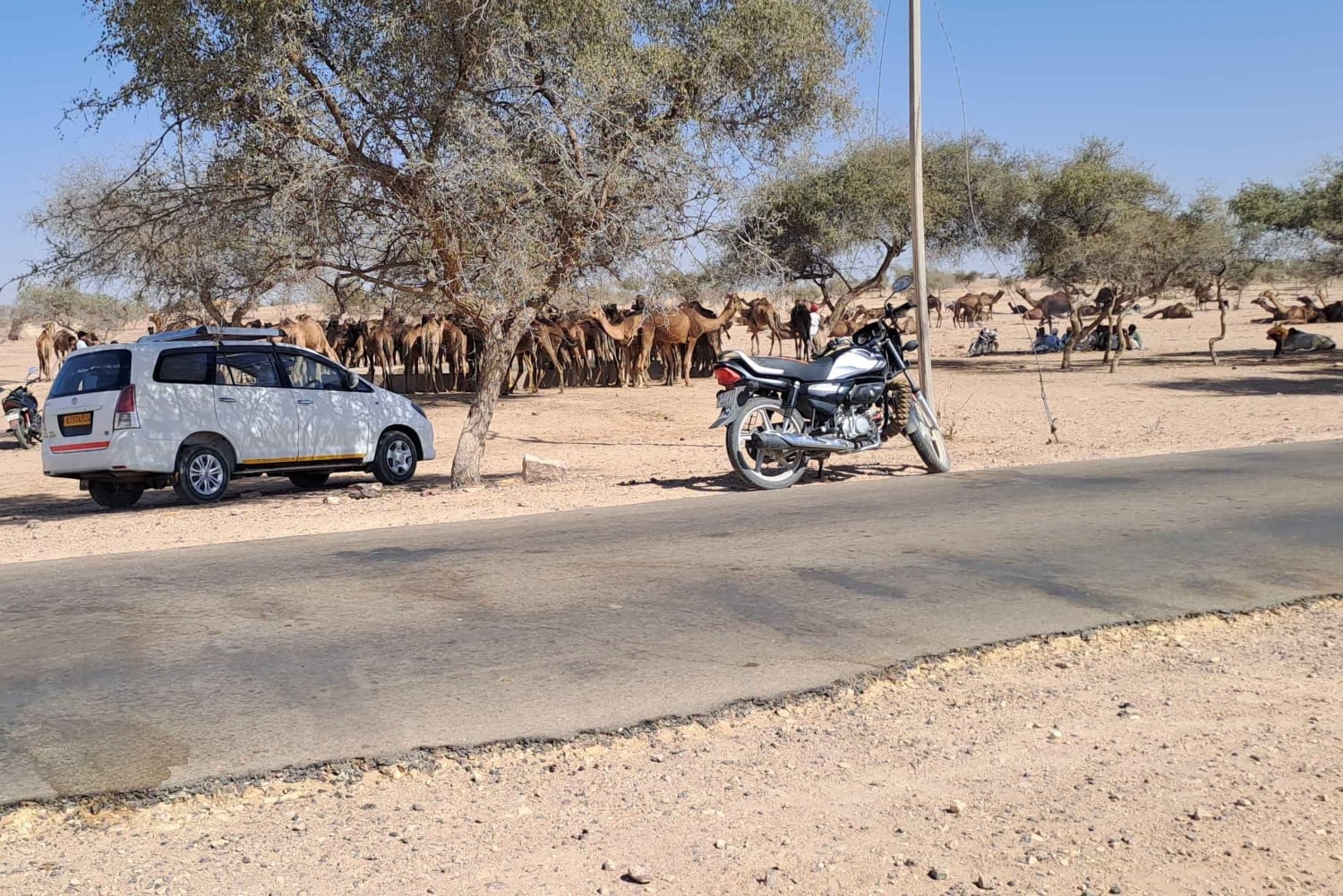 Частная экскурсия из Джайсалмера: Верблюжья ферма и деревенская жизнь