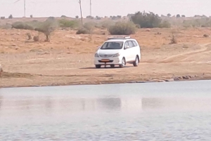 Частная экскурсия из Джайсалмера: Верблюжья ферма и деревенская жизнь