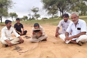 Частная экскурсия из Джайсалмера: Верблюжья ферма и деревенская жизнь