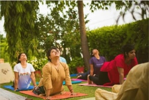 Private Yogastunde in Jodhpur mit leckerer Mahlzeit