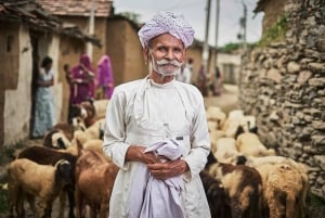 Pushkar/Ajmer: Tagestour durch das ländliche Dorf Devmali
