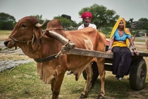 Pushkar/Ajmer: Tagestour durch das ländliche Dorf Devmali