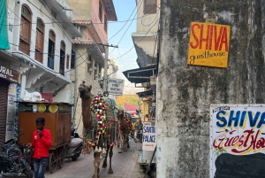 Pushkar & Ajmer heldagstur med spirituelt tema – Pushkar-ruten