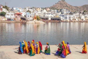 Prywatna całodniowa wycieczka krajoznawcza do Pushkar i Ajmer