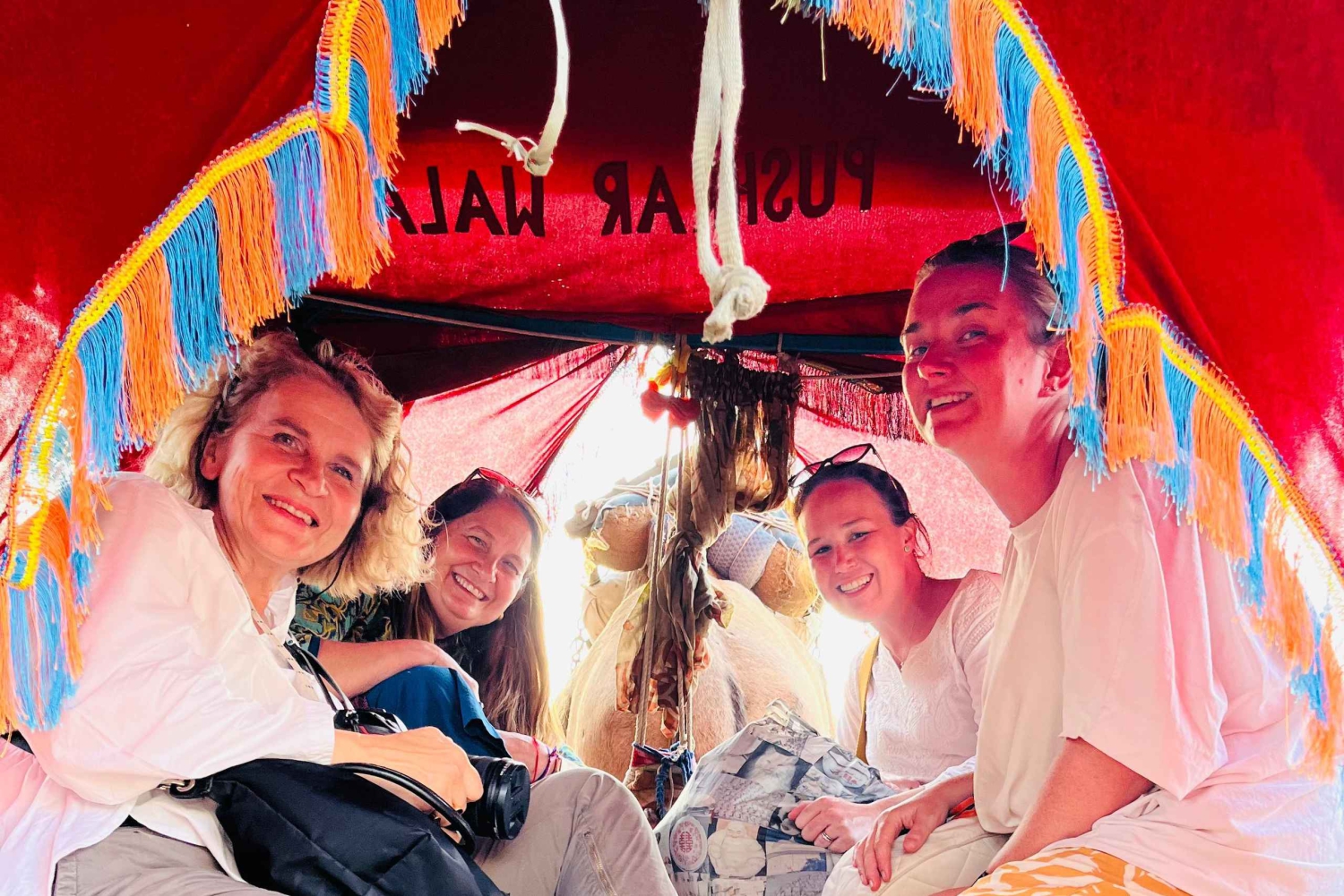 Pushkar: Kamelvagnssafari med solnedgång och te