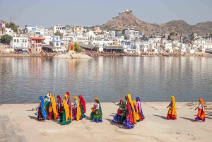 Pushkar : Explore Pushkar Walking Tour With Guide