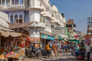 Pushkar : Explore Pushkar Walking Tour With Guide