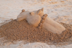 Pushkar: Live Sand Art Experience