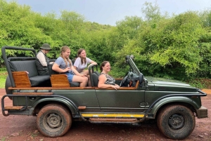 Pushkar Ranthambore Tiger Safari-tur med avlevering i Jaipur