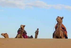 Rustige en vredige nacht in luxe woestijnkamp