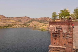 Rajasthan: tour di 5 giorni, fortezze di Chittorgarh, Jodhpur e Udaipur
