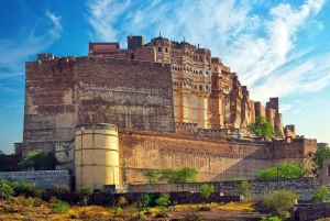 Rajasthan: 5-daagse tour, forten van Chittorgarh, Jodhpur en Udaipur