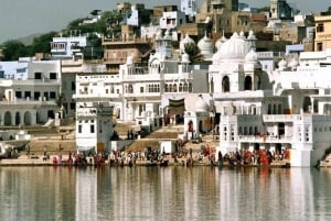 Esploratore del Rajasthan: Jaipur, Pushkar e Mandawa in 4 giorni