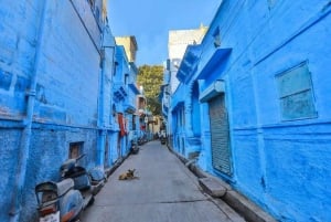 Jaipur-kaupunkikierros: kaupungin palatsi, Jantar, Hawa & Jal Mahal
