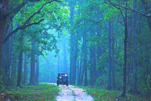 Rajasthan: Ranthambore National Park Private Jeep Safari