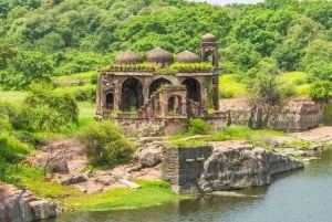 Ranthambore Fort and Ganesh Temple tour in a Jeep