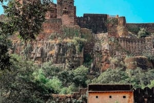 Ranthambore Fort and Ganesh Temple tour in a Jeep