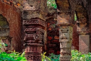 Ranthambore Fort and Ganesh Temple tour in a Jeep