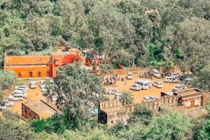 Ranthambore Fort and Ganesh Temple tour in a Jeep