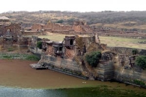 Ranthambore: Forte, Tempio di Ganesh, Lago di Padam