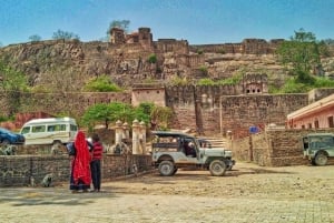 Ranthambore: Fort , Ganesh Tempel, Padam Lake Tour