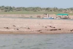 Ranthambore Gharial Sanctuary и Chambal Safari на лодках.