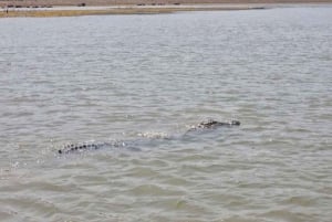 Ranthambore Gharial Sanctuary и Chambal Safari на лодках.