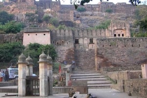 Ranthambore: Guided Safari Tour by Canter or Jeep