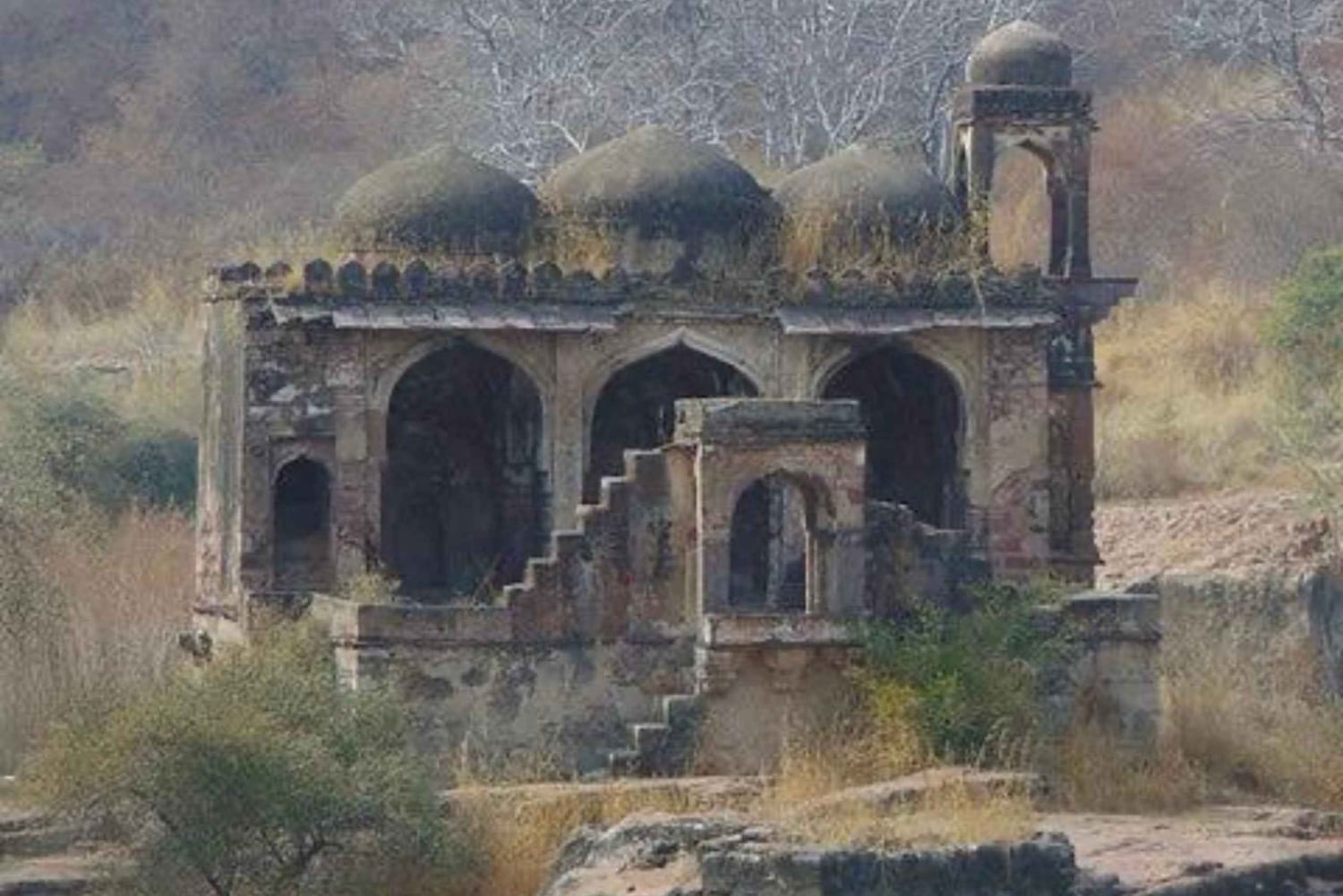 Ranthambore: Jeep Heritage Tour with Fort & Temple Visit