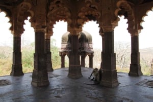 Ranthambore: Jeep Heritage Tour with Fort & Temple Visit