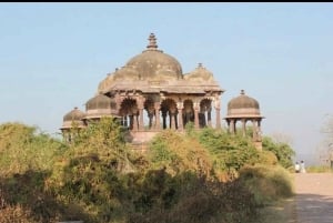 Ranthambore: Jeep Heritage Tour with Fort & Temple Visit