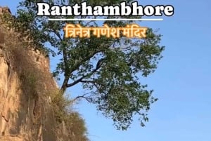 Ranthambore: Jeep Heritage Tour with Fort & Temple Visit