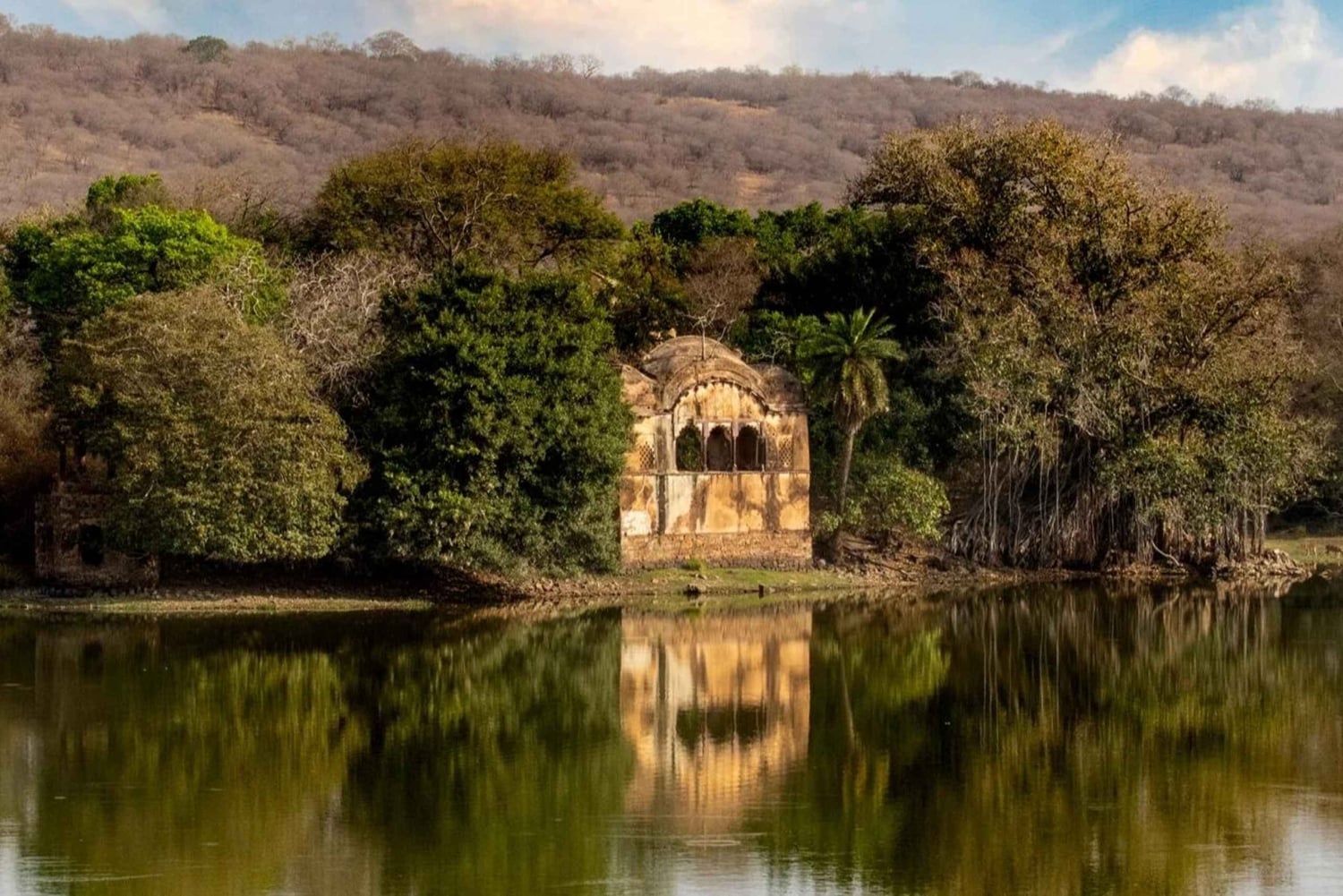 ランタンボール：ジャングル＆ボートサファリ（ホテル宿泊付き）