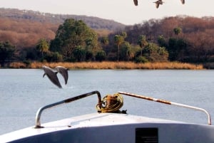 ランタンボール：ジャングル＆ボートサファリ（ホテル宿泊付き）