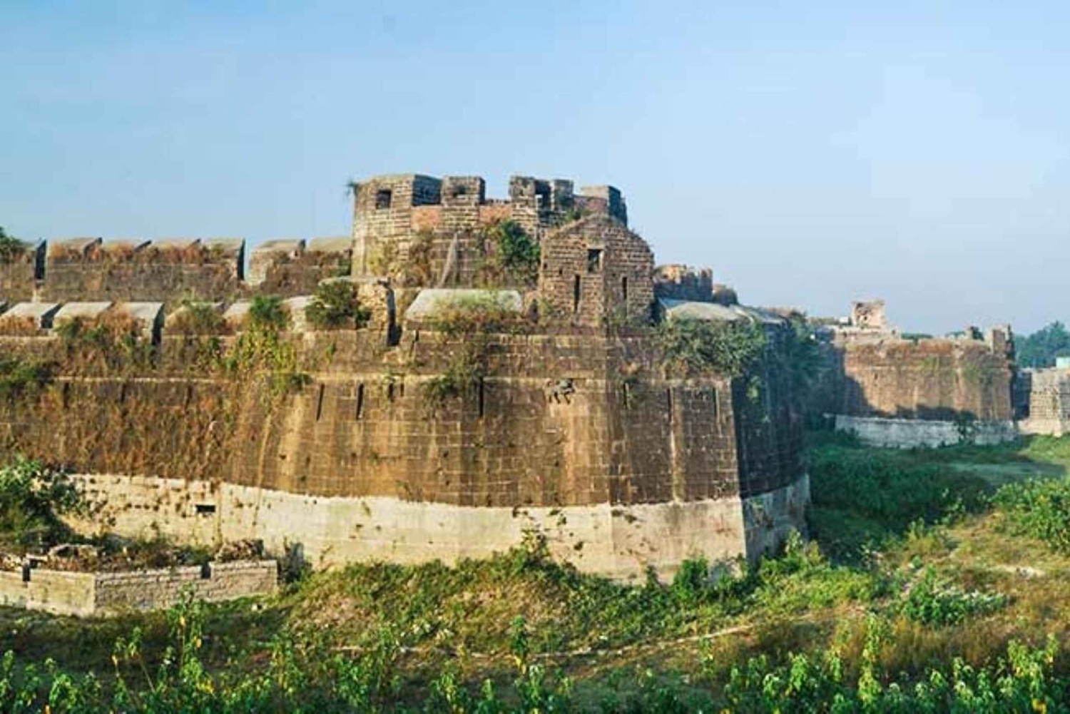 デリー発：5日間ゴールデン・トライアングル＆タイガー・サファリツアー