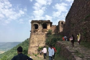 Von Delhi aus: 5-tägige Golden Triangle- und Tiger-Safari-Tour