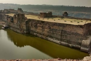 Von Delhi aus: 5-tägige Golden Triangle- und Tiger-Safari-Tour