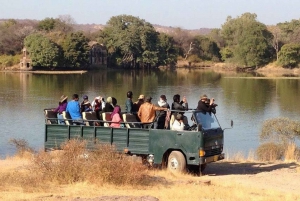 Ranthambore National Park: Jeep or Canter Safari Tour