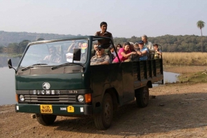 Ranthambore National Park: Jeep or Canter Safari Tour
